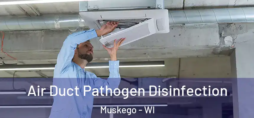 Air Duct Pathogen Disinfection Muskego - WI