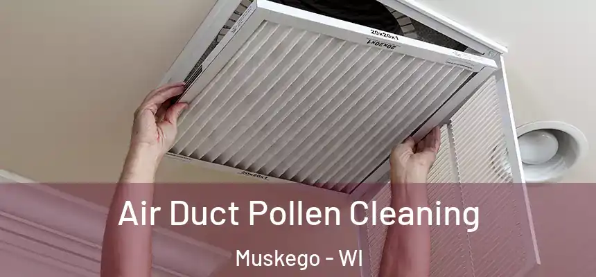 Air Duct Pollen Cleaning Muskego - WI