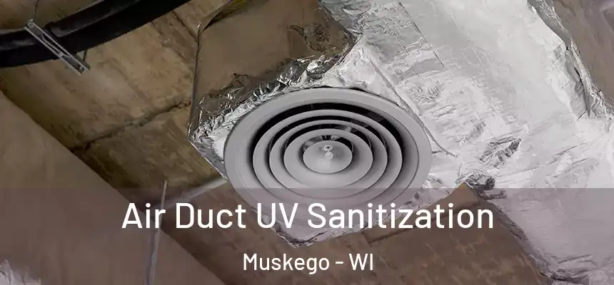 Air Duct UV Sanitization Muskego - WI