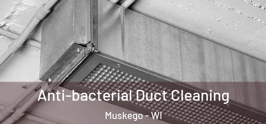 Anti-bacterial Duct Cleaning Muskego - WI