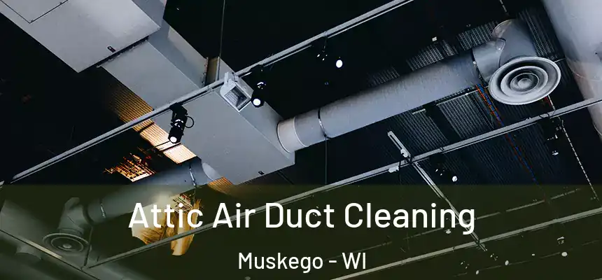 Attic Air Duct Cleaning Muskego - WI