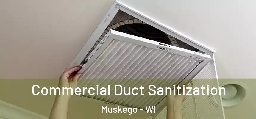 Commercial Duct Sanitization Muskego - WI