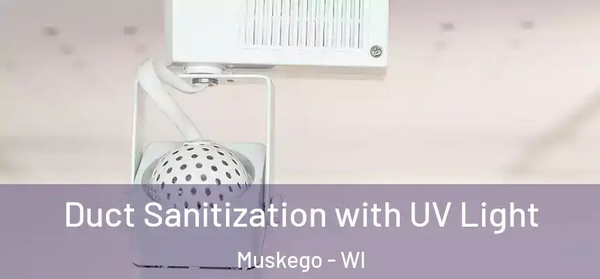 Duct Sanitization with UV Light Muskego - WI