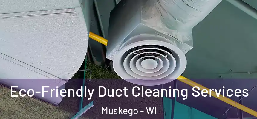 Eco-Friendly Duct Cleaning Services Muskego - WI