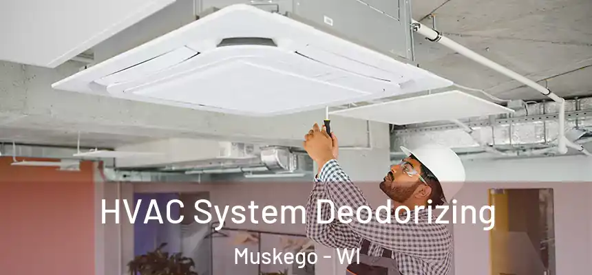 HVAC System Deodorizing Muskego - WI