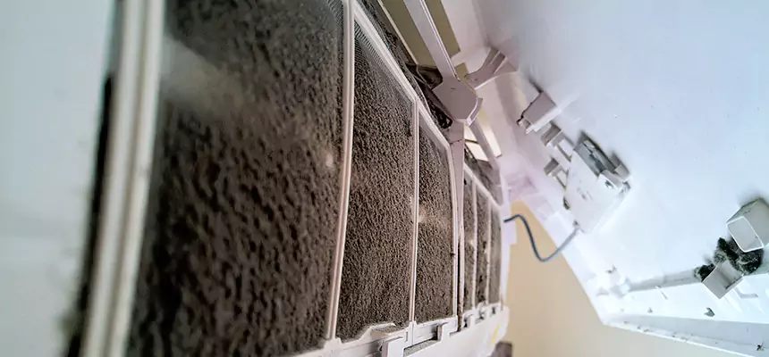 Preventive Air Duct Bacteria Removal in Muskego