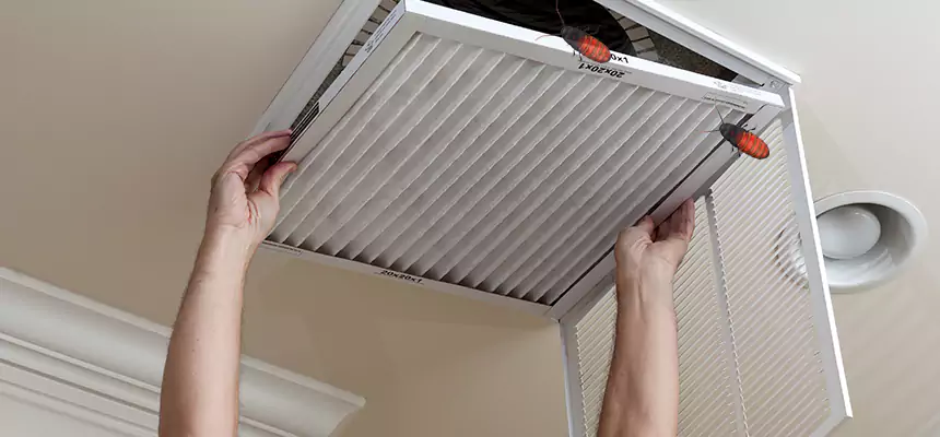 Preventive Cockroach-Proofing for Ducts in Muskego