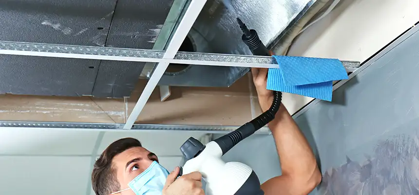 Our Air Duct Rodent Removal Services in Muskego, WI