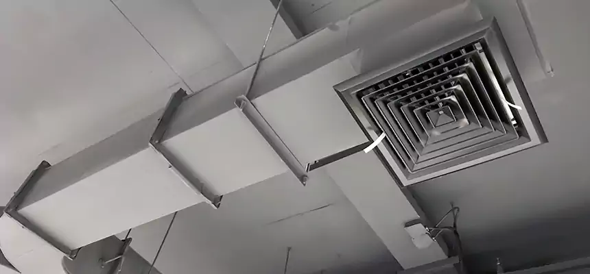 Restorative Allergy Relief Vent Cleaning – Coil, Blower & Housing Detail in Muskego