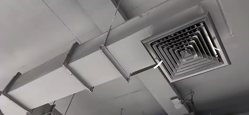 Our Pest Removal From Ducts Services in Muskego, WI