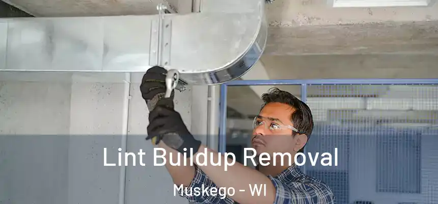  Lint Buildup Removal Muskego - WI