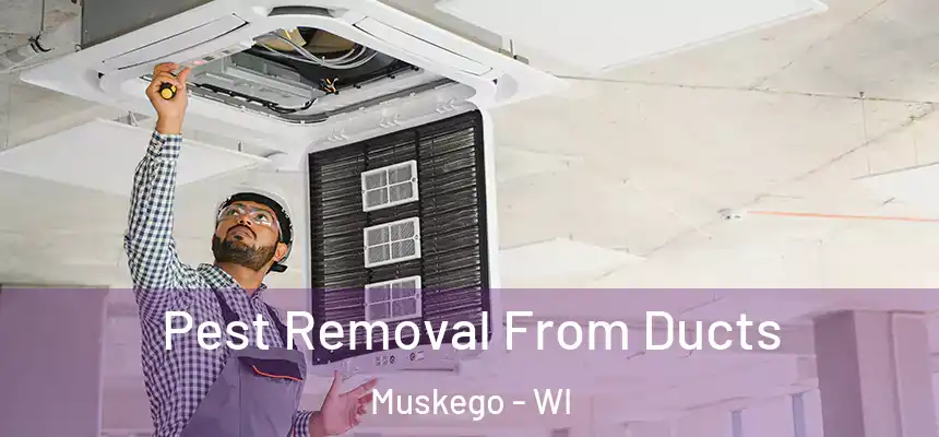 Pest Removal From Ducts Muskego - WI