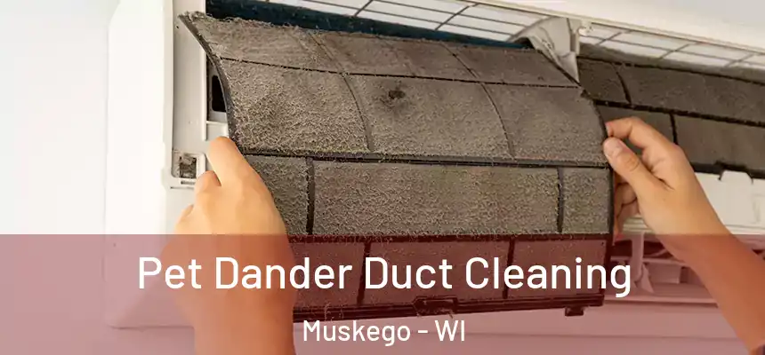 Pet Dander Duct Cleaning Muskego - WI