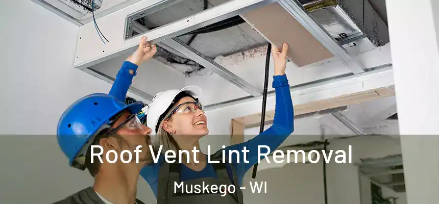 Roof Vent Lint Removal Muskego - WI