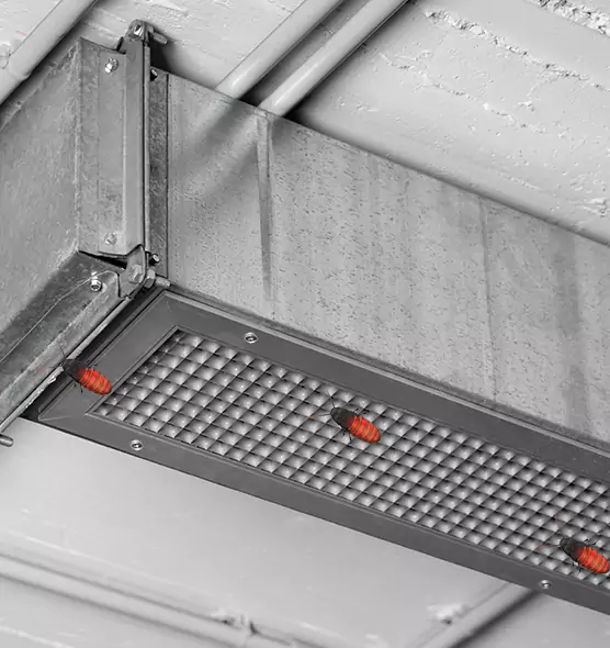 About Air Duct Cockroach Removal in Muskego, WI