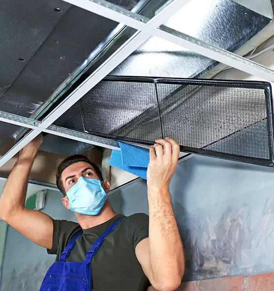 Professional Air Duct Pollen Cleaning in Muskego, WI