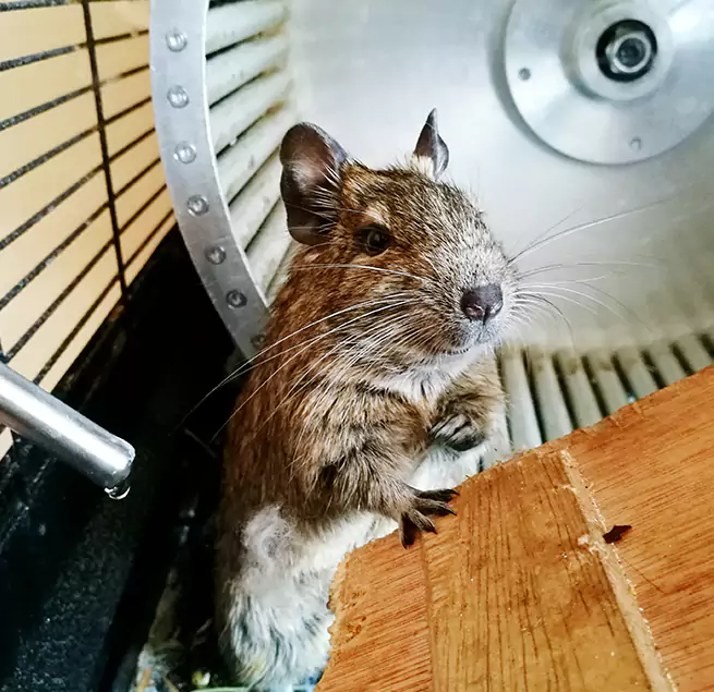 Why Homeowners & Businesses Trust Us Muskego, WI